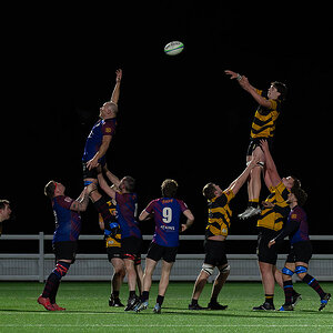 DSC05206-DxO_DeepPRIME XD3.jpg