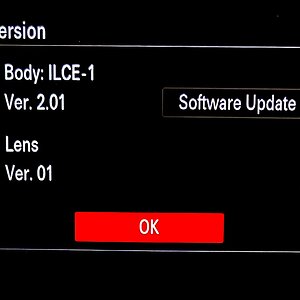 a1 body firmware version.jpg