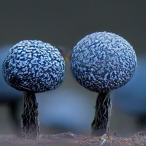 2026-03-11 22-12-34 25860311 A1A00001-Edit-Edit20260311fb.jpg