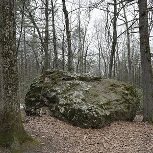 Big Rock in Woods on a Cloudy Day