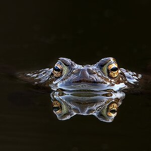 20260321-DSC02523-DxO_DeepPRIME XD2s-Edit-Edit.jpg