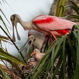 DSC05297-20260319-DxO_DeepPRIME XD3.jpeg