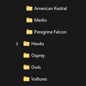 Screenshot 2026-04-15 185616.jpg