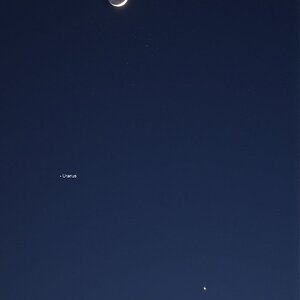  Venus and Pleiades 190426.jpg