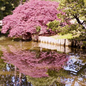 red_2048.JPG