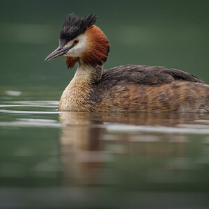 Bits and Bobs-8.jpg