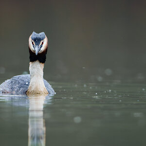 Bits and Bobs-9.jpg