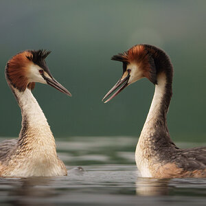 Bits and Bobs-12.jpg