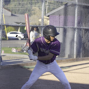 Ant_swing.JPG