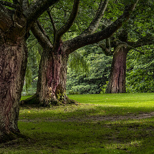 12082025-12082025-_DSC8978-3.jpg