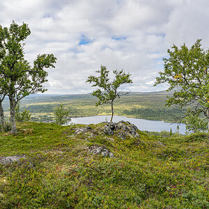 20082020-20082020-_MFA7796.jpg