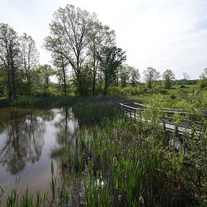 DSC04629.jpeg