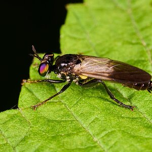 AA_06580.jpg