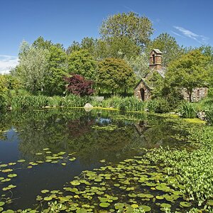 26A04775larch cottage garden.jpg