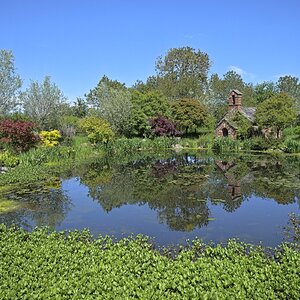 26A04781larch cottage garden.jpg