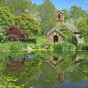 26A04780larch cottage garden.jpg