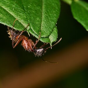 AA_06724.jpg