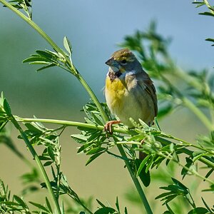 AA_07728.jpg