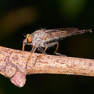 AA_02209.jpg