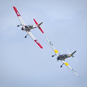 26A06814chipmunks.jpg