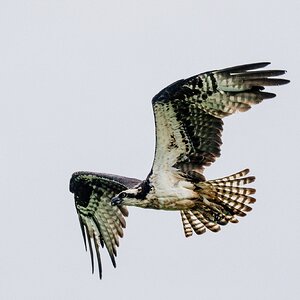 JRV05245.jpg