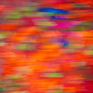 Color in Motion - DSC00060.jpeg