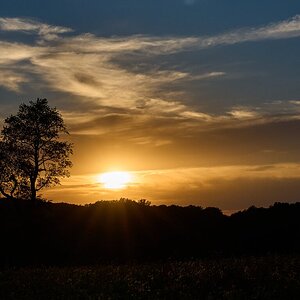 AA_03448.jpg