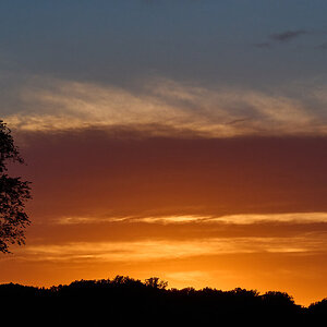 AA_03452.jpg