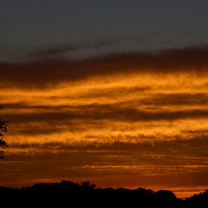 AA_03458.jpg