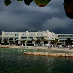 DSC02384(1).jpg