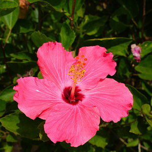 DSC02234.JPG
