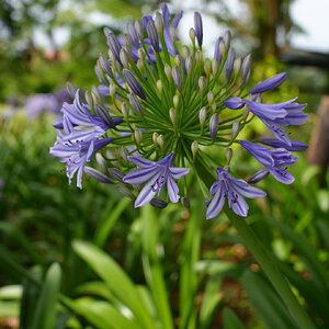 DSC02235.JPG