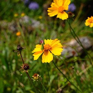 DSC02255.JPG