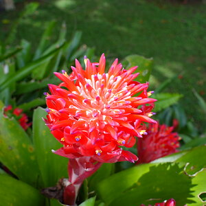 DSC02258.JPG