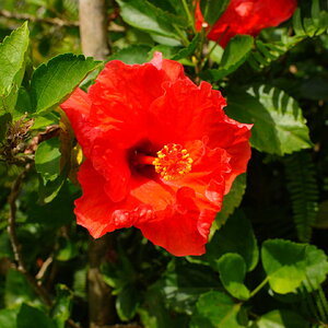 DSC02265.JPG