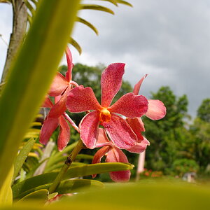 DSC02266.JPG