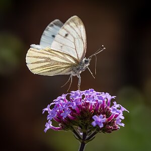 PRJ07613-Edit.jpg