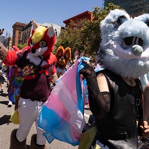 San Francisco Pride Parade 2026 - NorCal Furries