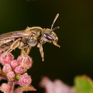 AA_06828.jpg