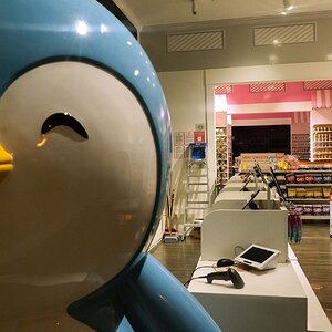 Bird at Goodies Shop