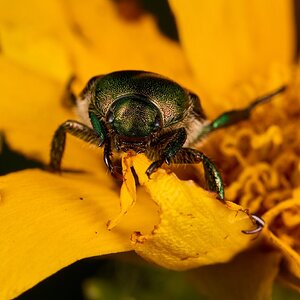 AA_04759.jpg