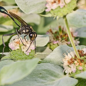 AA_04955.jpg