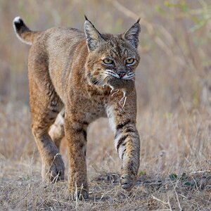20260710-sharp.jpg