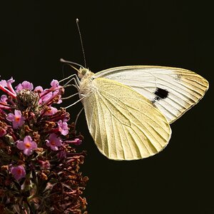 7R509210.jpg