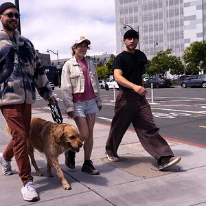 A morning stroll in San Francisco