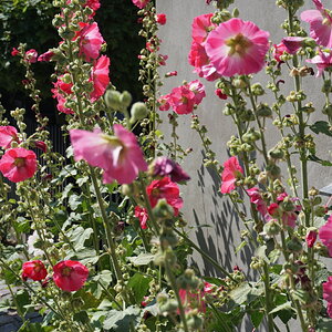 fbb56d7c-d120-4138-ae0a-57497b24e101-1_all_23924.jpg