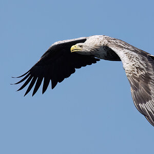 _DSC4698 -.jpg