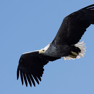 _DSC4719 copy.jpg