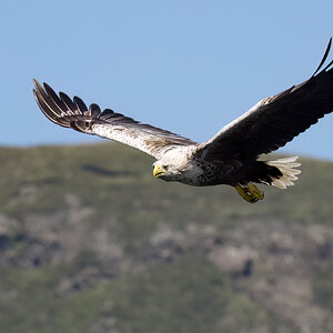 _DSC4734 -.jpg