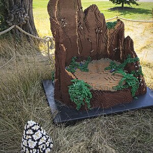 26A09000brick tree stump.jpg